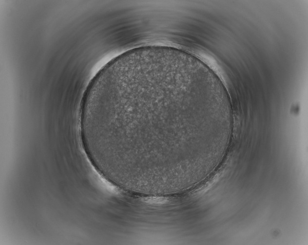 X0000090701141200708101436