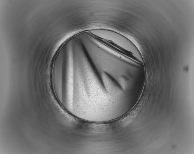 X0000090701142200708101436