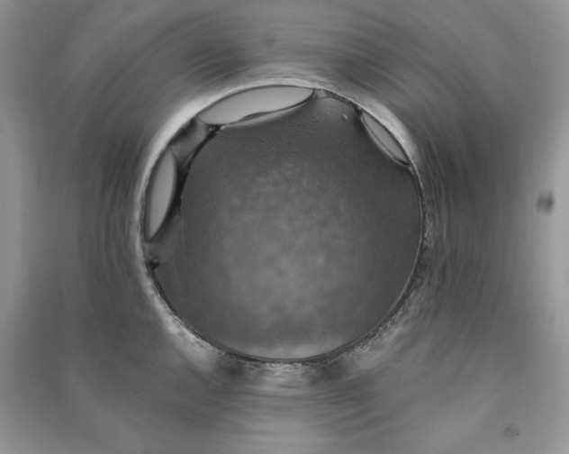 X0000090701144200708101436