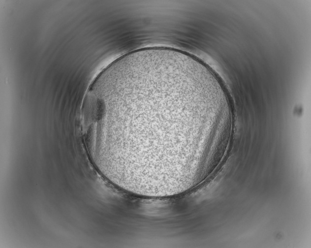 X0000090701145200708101436