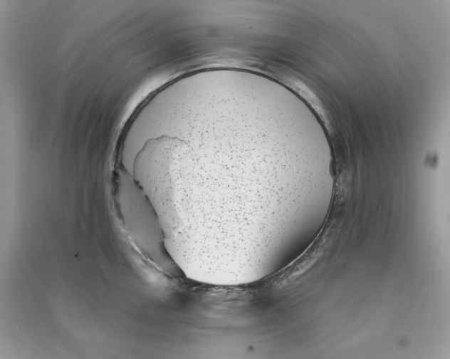 X0000090701146200708101436