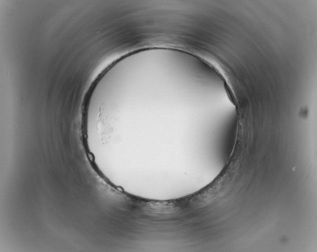 X0000090701147200708101436