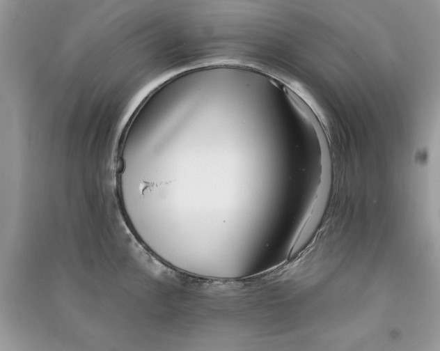 X0000090701148200708101436
