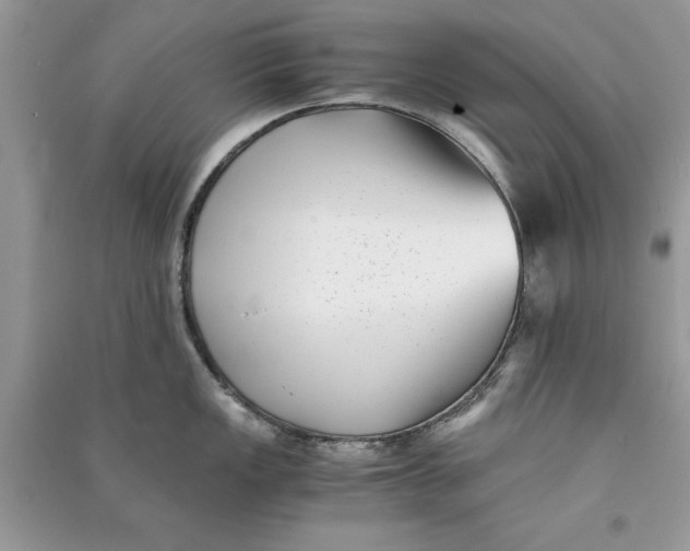 X0000090701149200708101436