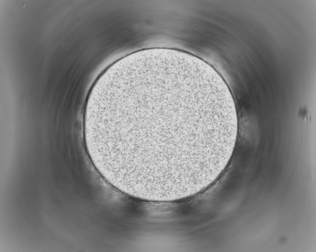 X0000090701150200708101436