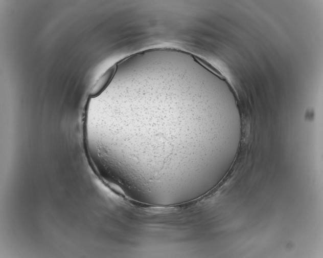 X0000090701151200708101436