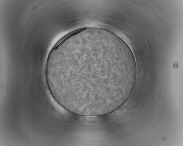 X0000090701152200708101436