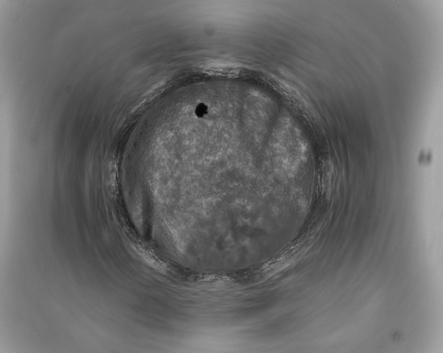 X0000090701154200708101435