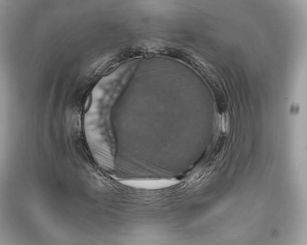 X0000090701155200708101435