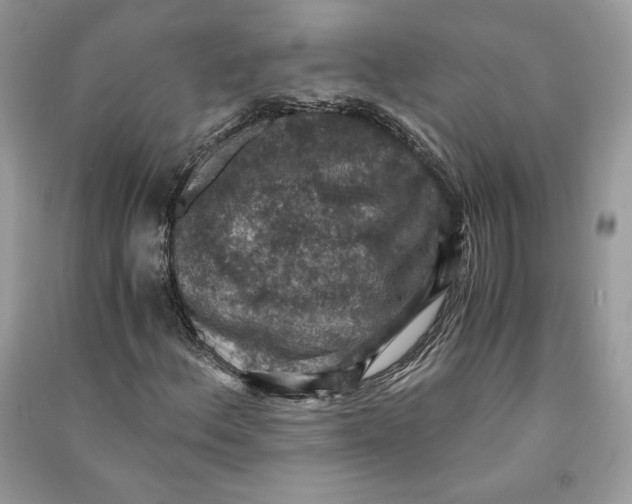 X0000090701156200708101435