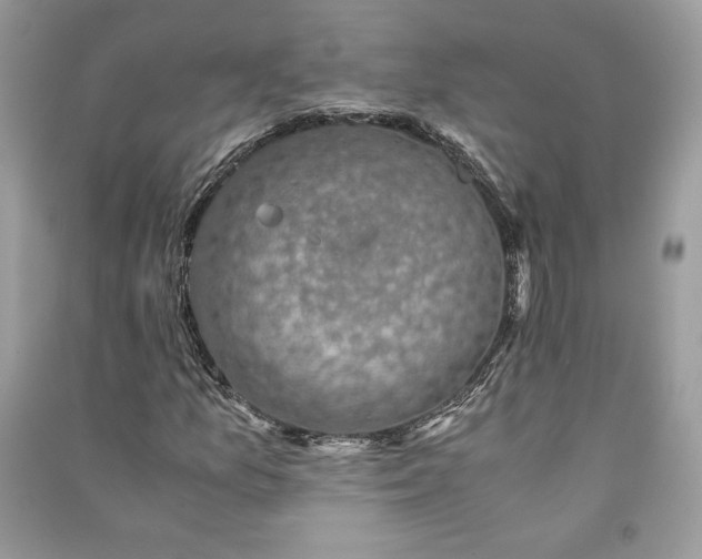 X0000090701157200708101435