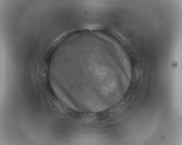 X0000090701158200708101435
