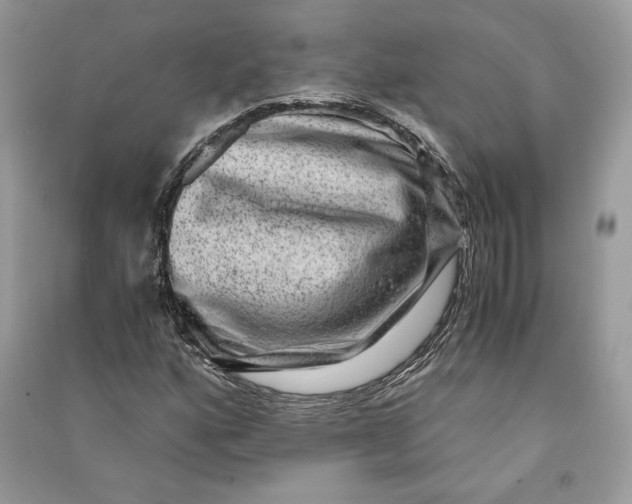 X0000090701160200708101435