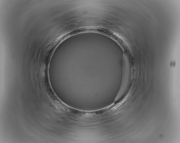 X0000090701161200708101435
