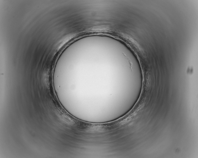 X0000090701162200708101435