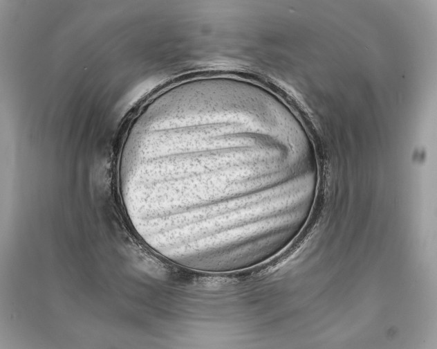 X0000090701163200708101435