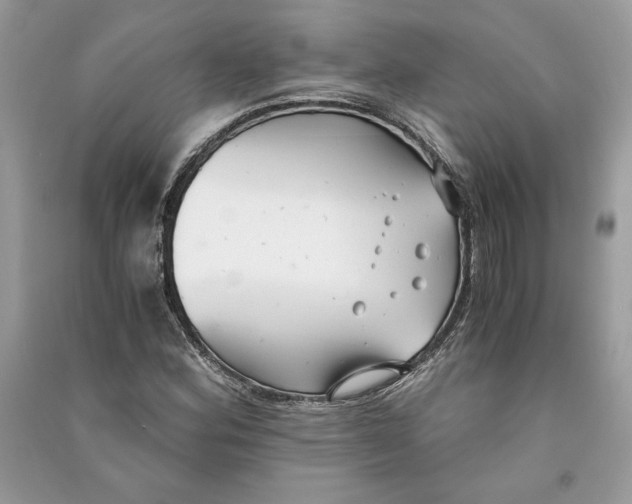 X0000090701164200708101435