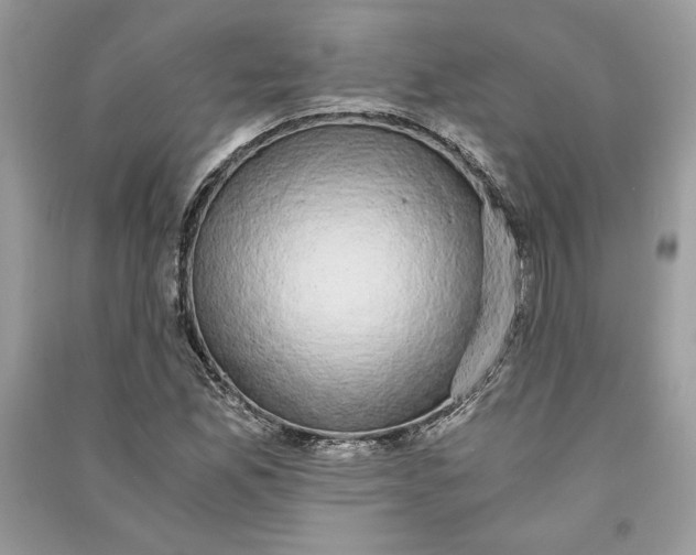X0000090701165200708101435
