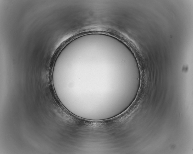 X0000090701166200708101435