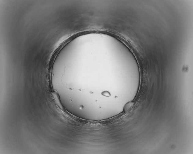 X0000090701168200708101435