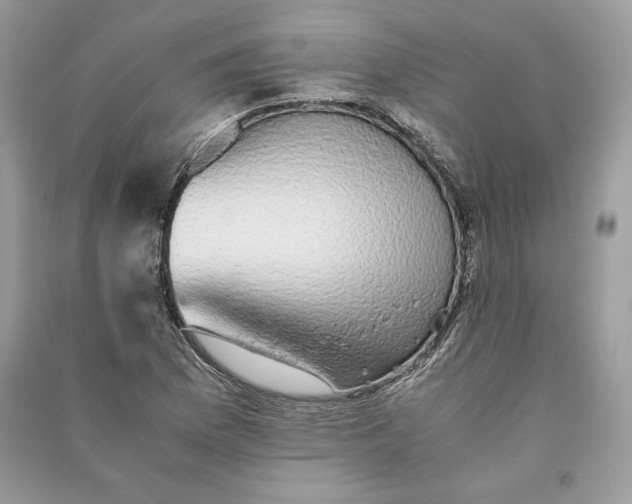 X0000090701169200708101435