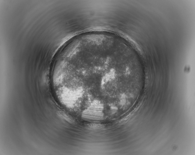X0000090701170200708101435