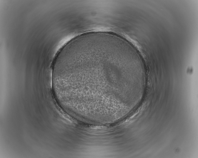 X0000090701171200708101435