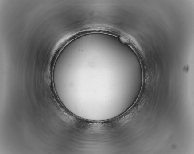 X0000090701172200708101435