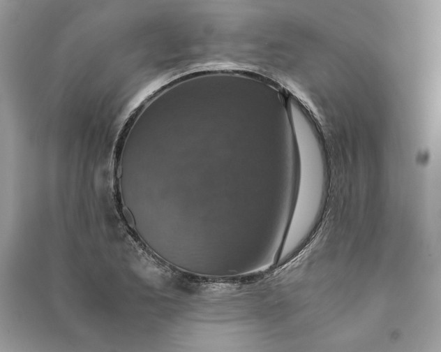X0000090701173200708101435