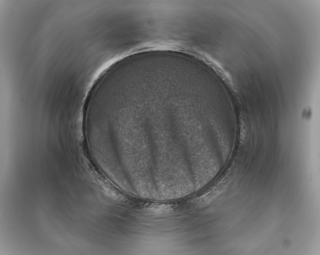X0000090701174200708101435