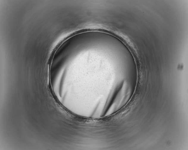 X0000090701175200708101435