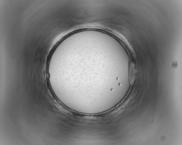 X0000090701176200708101435