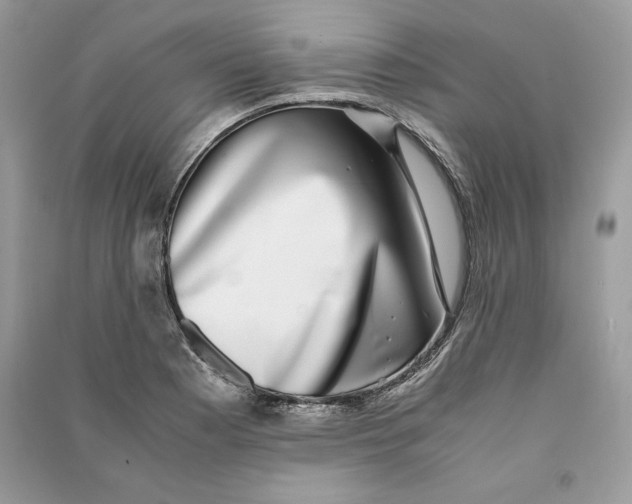 X0000090701177200708101435