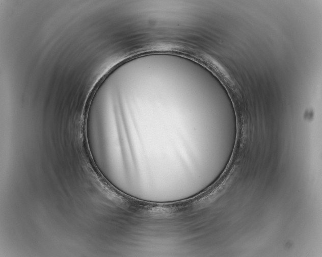 X0000090701178200708101435