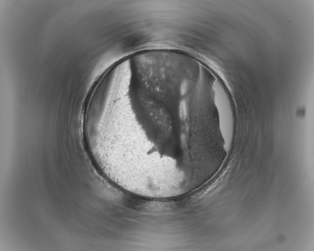 X0000090701179200708101435