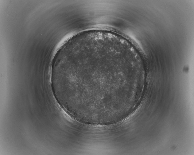 X0000090701180200708101435
