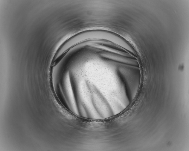 X0000090701181200708101435