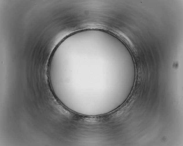 X0000090701182200708101435