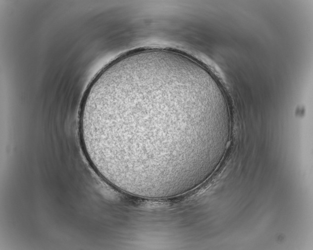X0000090701183200708101435