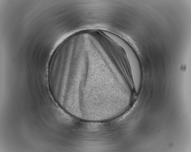 X0000090701184200708101435