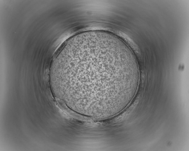 X0000090701185200708101435