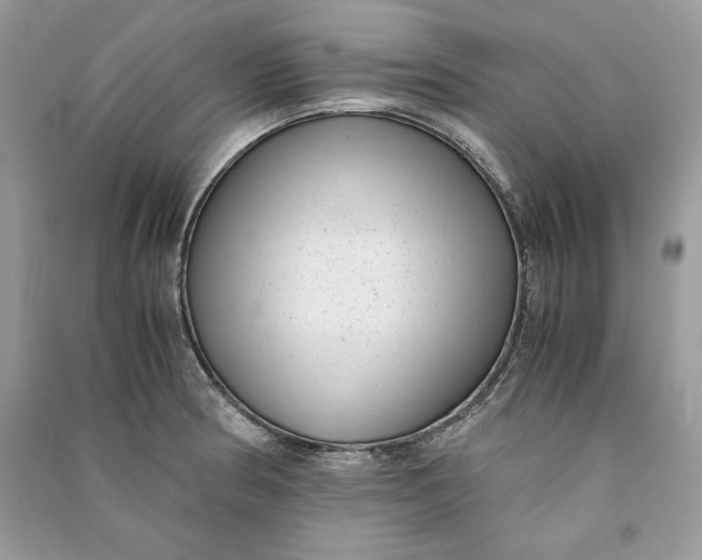 X0000090701186200708101435