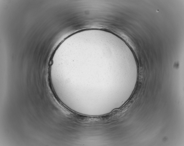 X0000090701187200708101435
