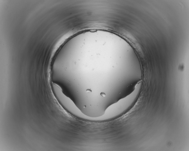 X0000090701188200708101435