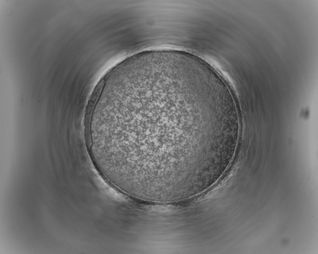 X0000090701189200708101435