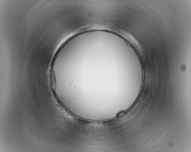 X0000090701190200708101435
