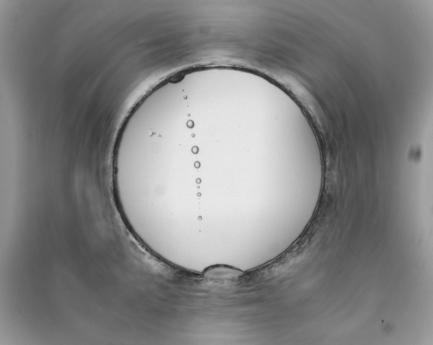 X0000090701191200708101435