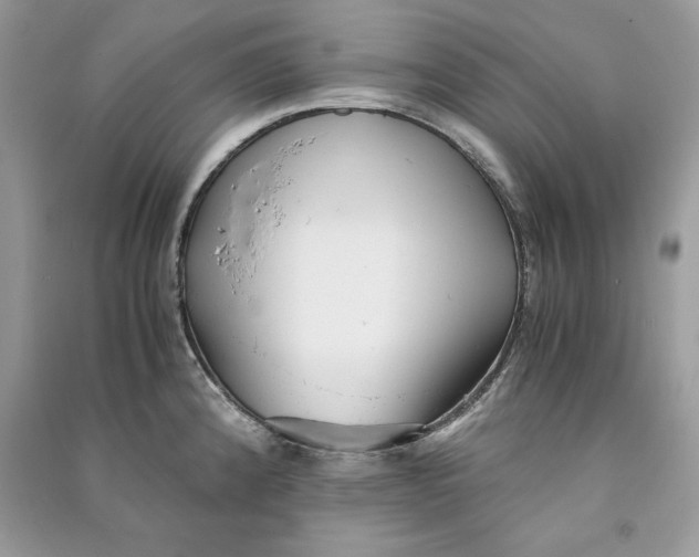 X0000090701192200708101435