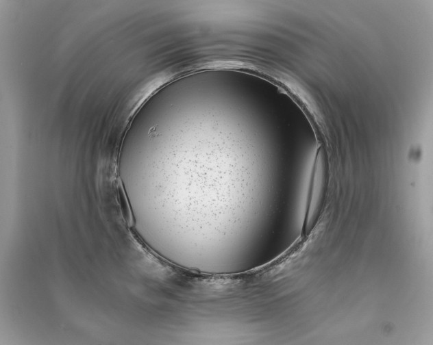 X0000090701193200708101435