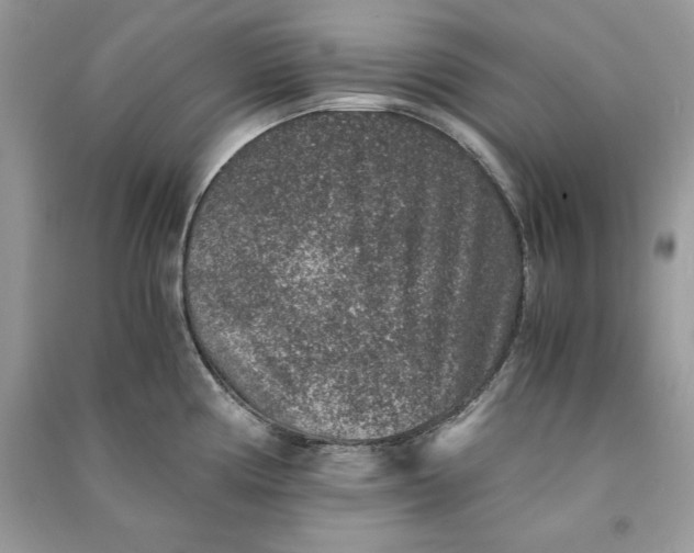 X0000090701194200708101435